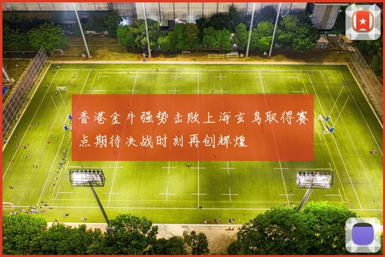 香港金牛强势击败上海玄鸟取得赛点期待决战时刻再创辉煌
