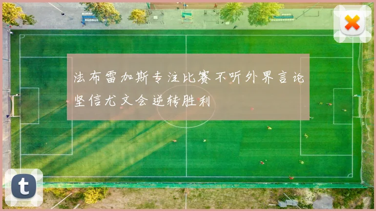 法布雷加斯专注比赛不听外界言论坚信尤文会逆转胜利